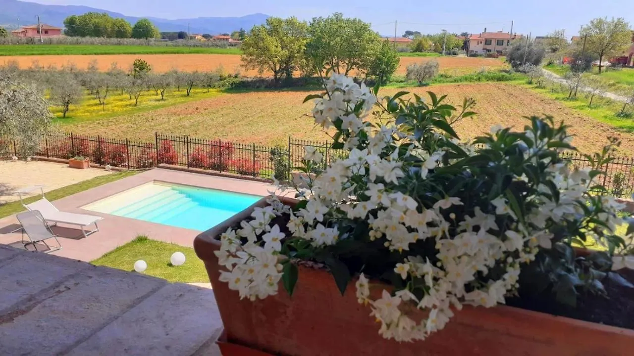 Villa Sunny Hill Monte San Savino